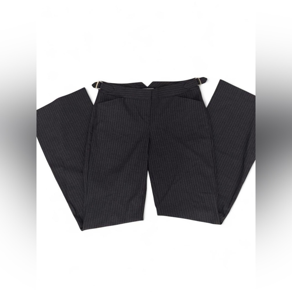 Express Pinstripe Charcoal Pants with Plum Lining